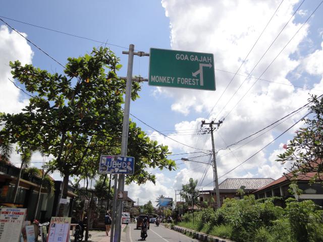 今ウブドで一番進化を続けるエリア。新しくてオシャレなショップはどんどんこのストリート沿いにオープンしてます！