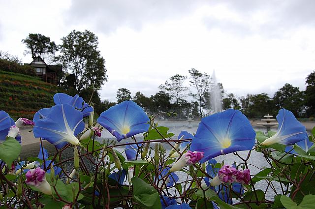 ドイステープを過ぎ山道を進んでいくとある「プーピン宮殿」はロイヤルファミリーの避暑地である宮殿です。