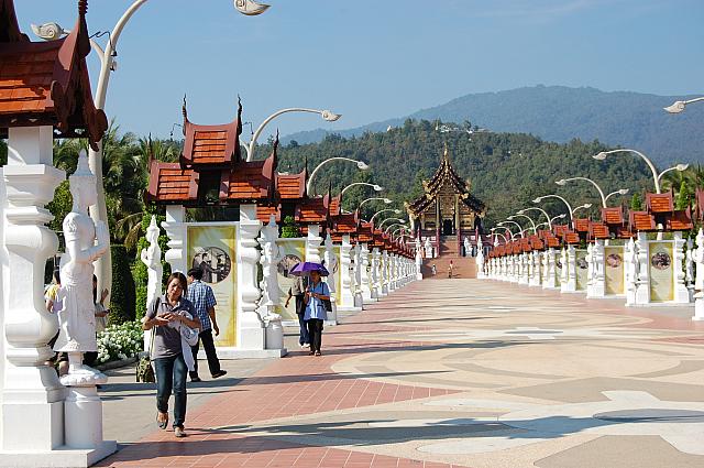 日本では見られない種類の美しい花や植物が広大なチェンマイの土地に咲いています。乾季の季節にはたくさんの来場者が訪れるチェンマイの人気スポットです。
