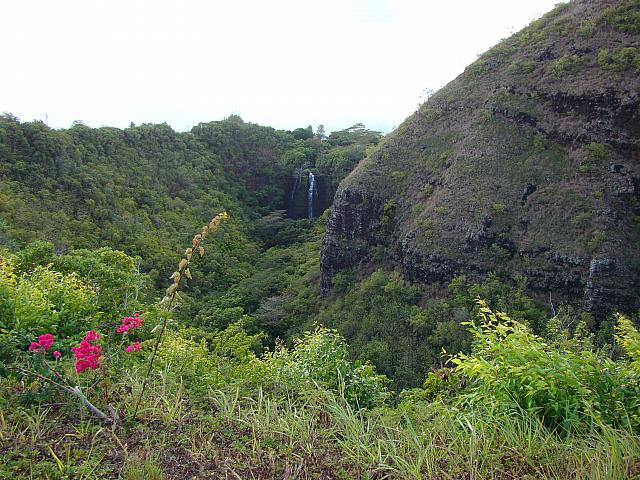 カウアイ島東部のワイルア地区にあり、その美しい風景は数多くのテレビや映画の背景として使用されています。
