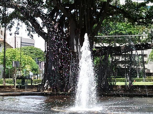 ホノルル最古の公園は、都会のオアシス。ホノルル・アカデミー・オブ・アーツに行ったら、立ち寄りたいスポットです。