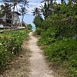 砂浜に続く小路