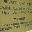 友人の結婚パーティで貸切に。