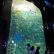 2010/08/24訪問
