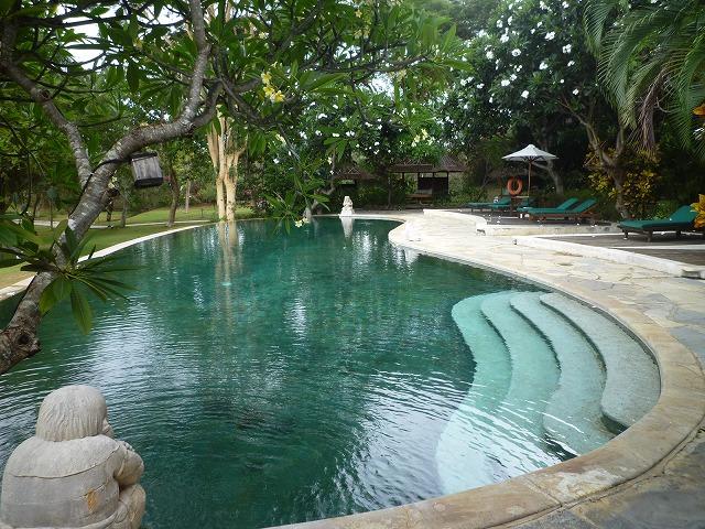 客室寄りのプール。プルメリアの花がきれい！