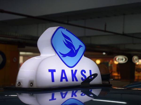 これが鳥のマーク