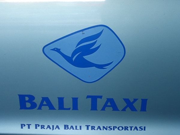 ボディのロゴはこれ