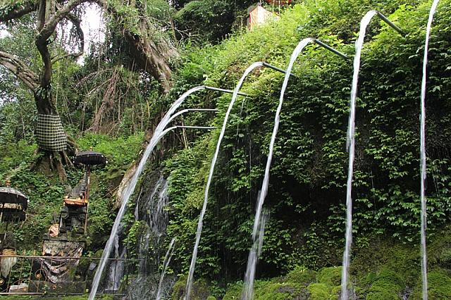 見ているだけでも清々しい！