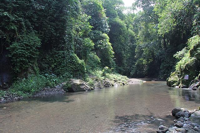 駐車場から川に向かい下ります