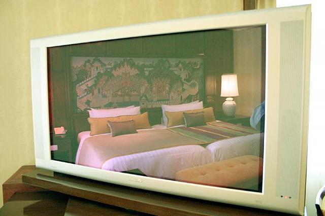 テレビ（改装済ウイングのみプラズマ）

