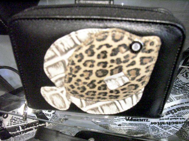 こちらのヒョウ柄のお魚さんは、
1,450B。