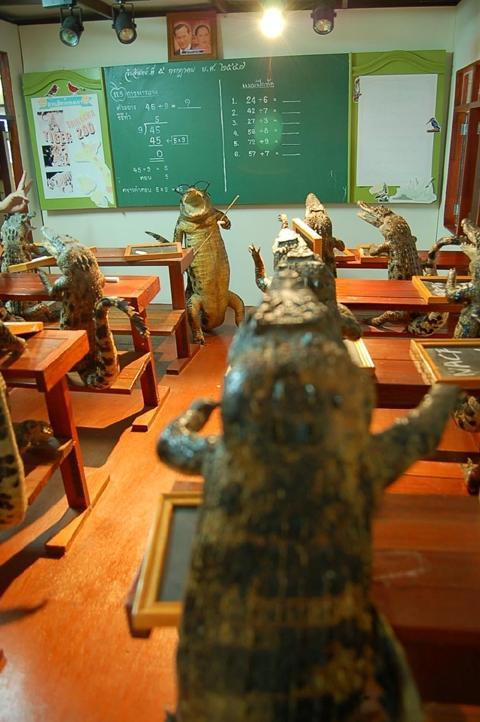 ワニの学校でした☆