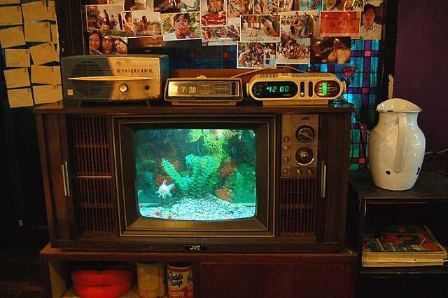 テレビ型の水槽を発見！
