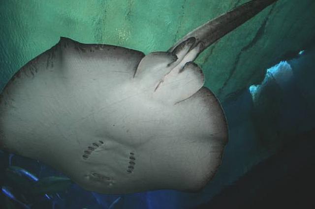 なんだかセクシーです