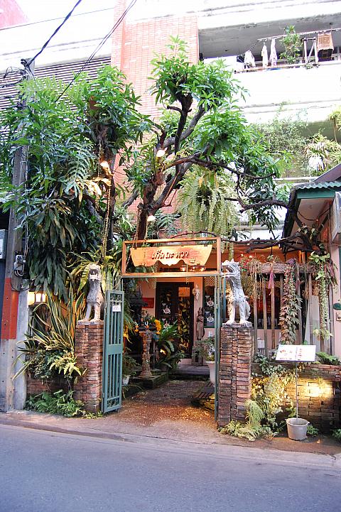 お店よりも高く伸びる植物が隠れ家レストランをさらに隠れ家らしくしています。