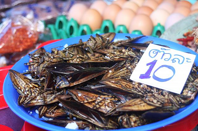 メンダーという名前の昆虫。意外に高い１つ１０バーツ。「どうやって食べるのだろうか？」と疑問が頭をよぎります。