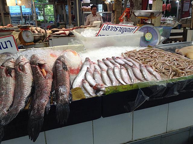 種類も色々な魚がドンっと台にのっています。