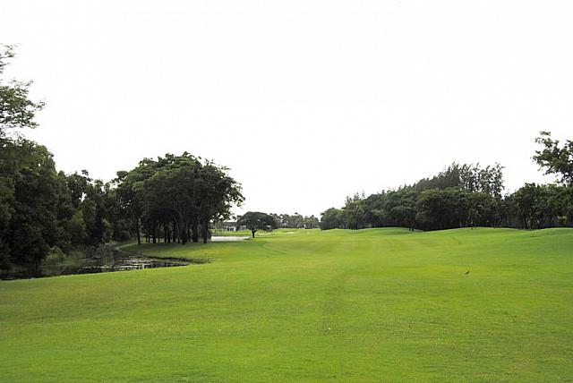 フェアウェイ左に池があるコースが14ホール中11ホール