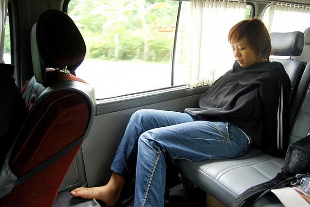 元気だなぁと眺めつつ、うとうと居眠りするナビ。