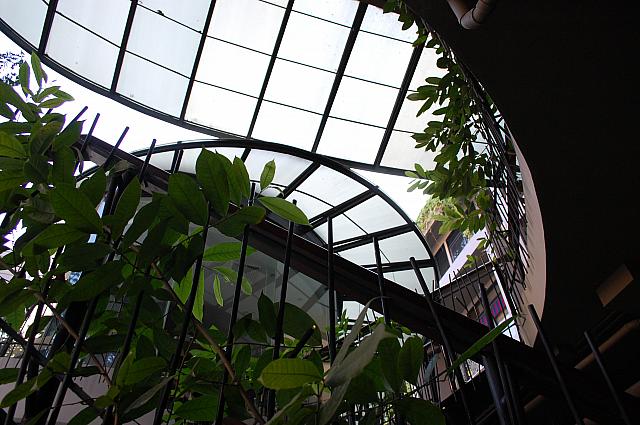 オープンエアの建物なので、緑や日差しが程よく入り素敵です。
