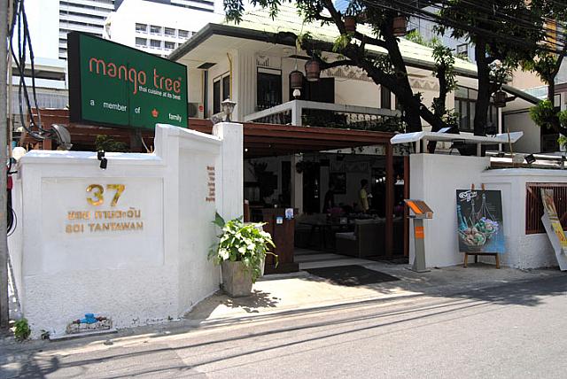 Mango Treeを左