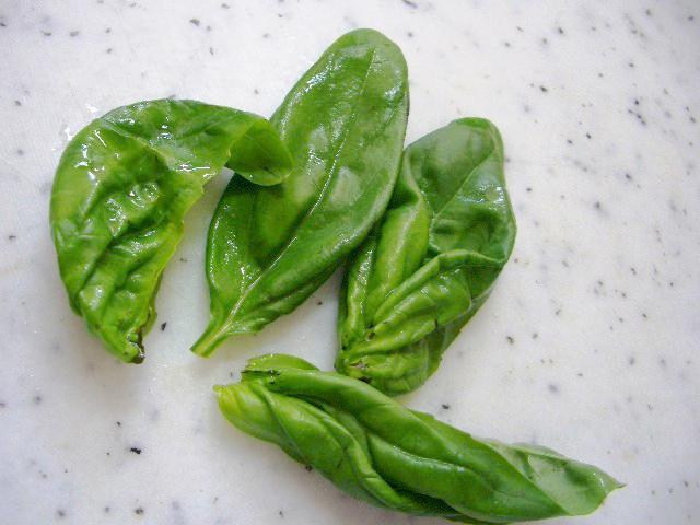 4. バジルは葉を摘んでおく。 