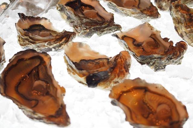 氷に恭しくのせられた生牡蠣たち