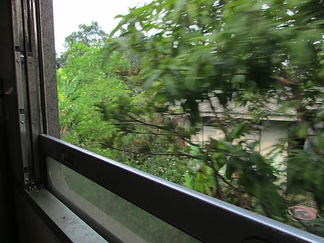 すれすれで走る列車。窓から顔出し厳禁！