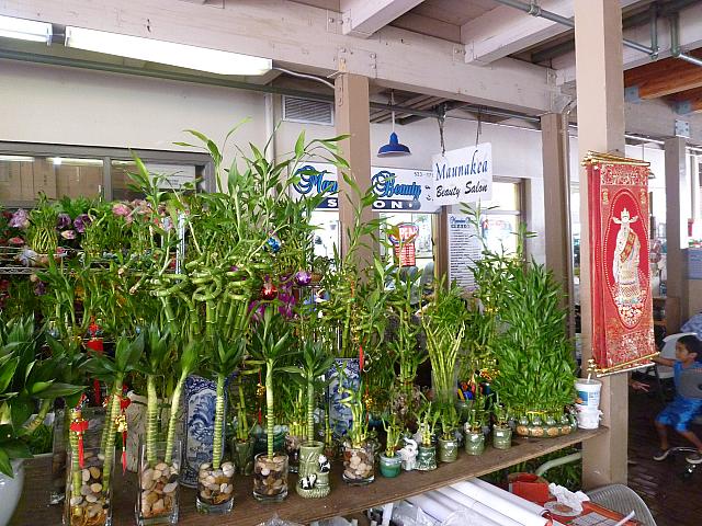 奥にはローカルのご年配が集まる理容室が。
