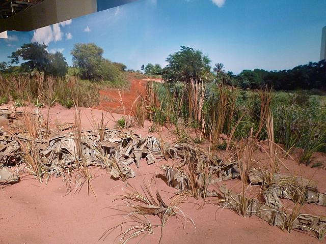 不時着した日から65年を経て、回収できたのは主翼の一部のみ。