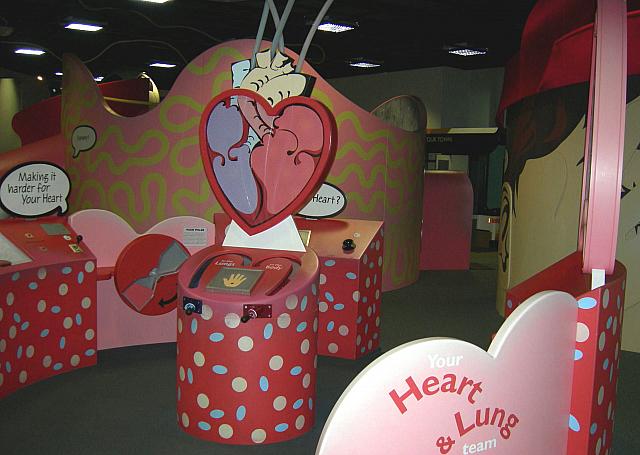 心臓はどうなっているのかな？
