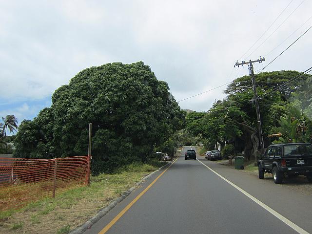 車両は右側（山側）のアアラパパ・ドライブへ。
