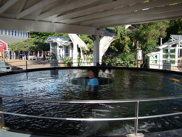 水槽の中からコンニチハ～！