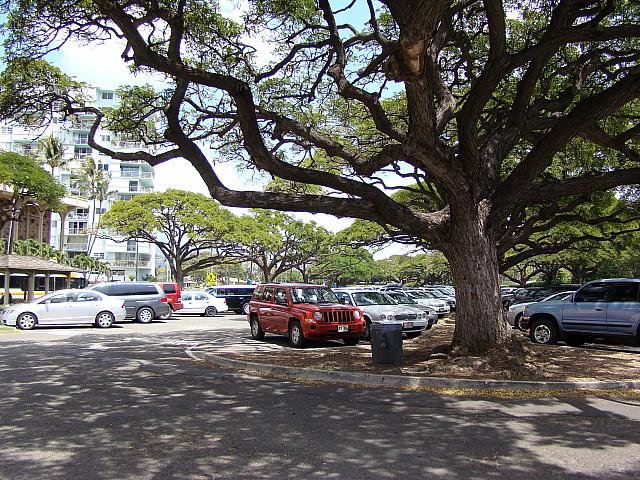 ホノルル動物園のパーキングは有料。現金かクレジットカードで前払い。青いペイステーションで支払います。