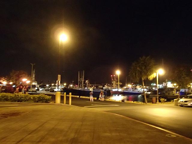 ぽーっと灯りがともる夜の港