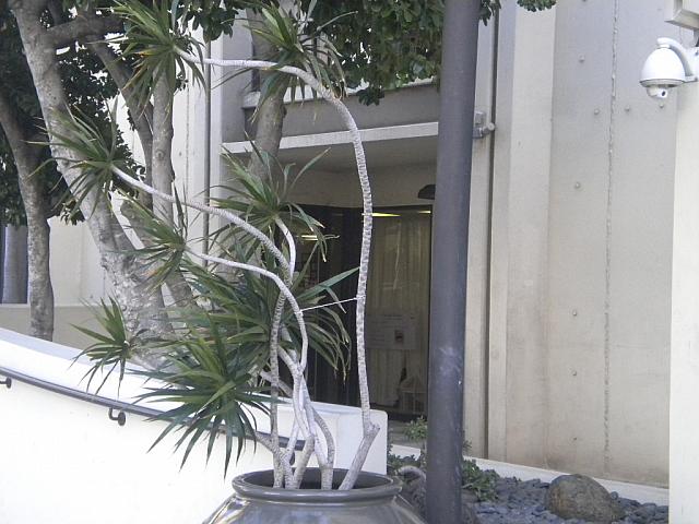 右側にお店の入り口が見えてきます。