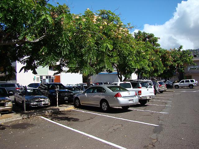 夕食どきは満車になることも。案外、回転は早いので空くのを待ってみて。