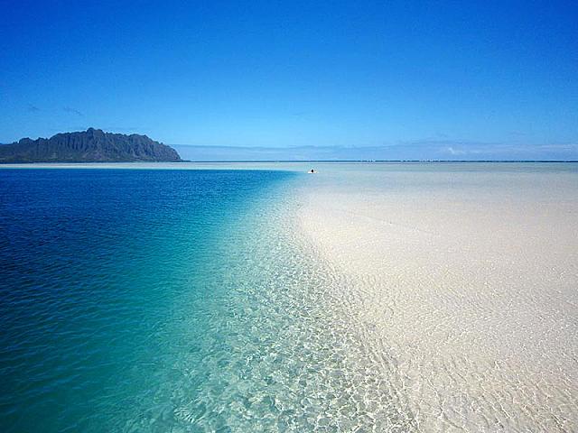 海の中に出現する白砂のビーチ
