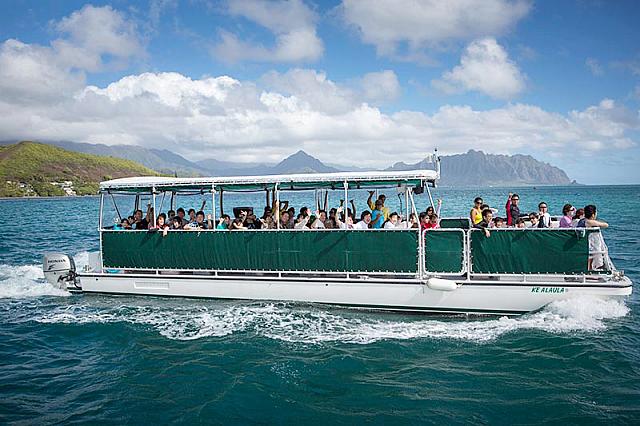 さあ海亀を探しに行きましょう！