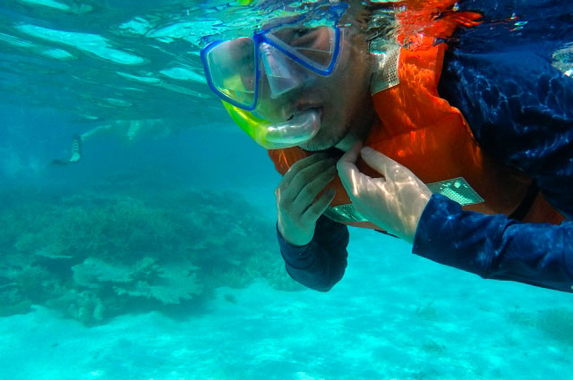マスクとシュノーケルも料金に含まれています