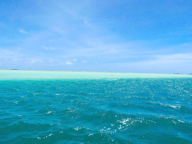 オーシャンブルーの海の中に現れる純白のサンドバー