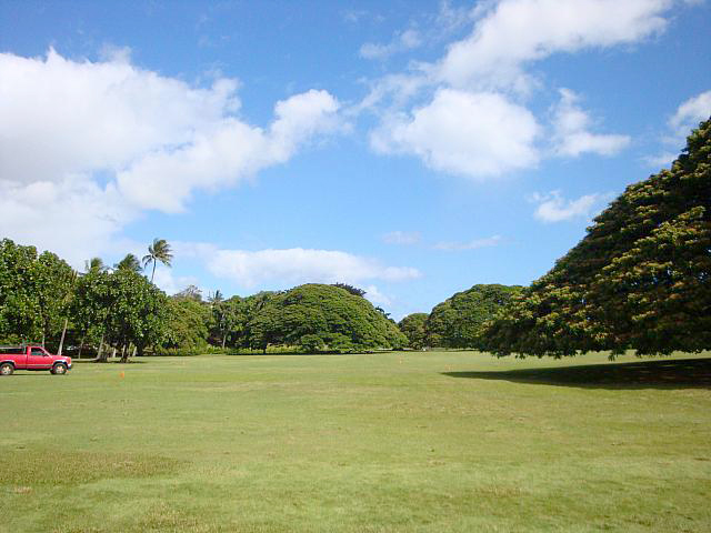 公園全体の面積は97,000㎡　１辺が300mの正方形とほぼ同じ広さ