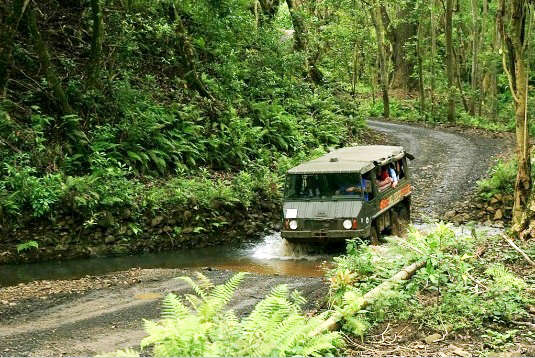小川も渡れる4WD