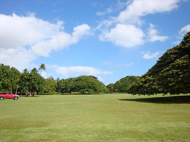 公園全体の面積は97,000㎡　１辺が300mの正方形とほぼ同じ広さ