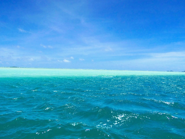 海の中に出現する白砂のビーチ