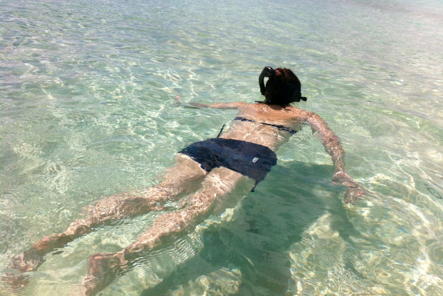 最高の透明度を持つカネオヘ湾でのシュノーケリング