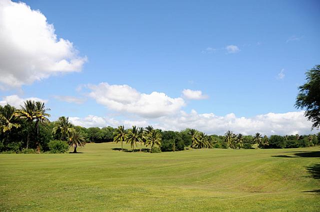 ドライバーは思い切って振れます