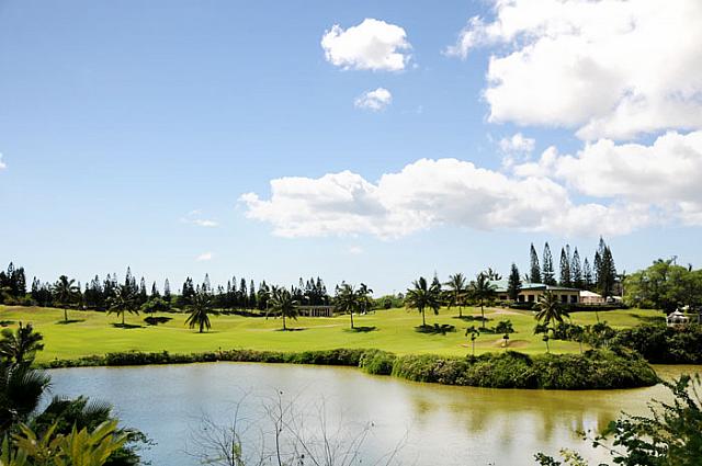 クリークが名前に付くので「水」のハザードが沢山