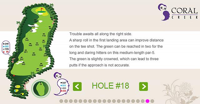 殆ど真っ直ぐのロング　ティショットよりもセカンド又はサードショットに注意が必要