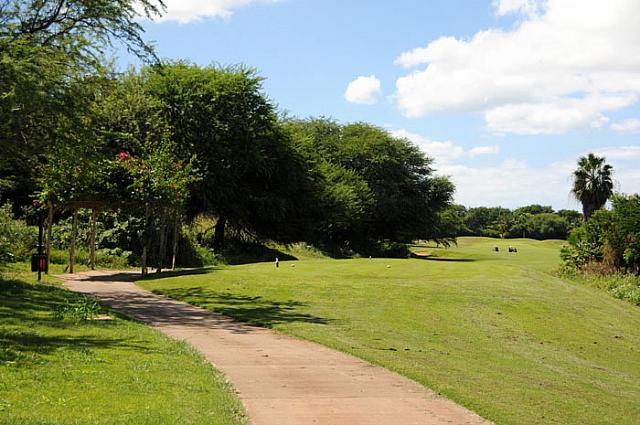 木とブッシュがプレッシャーを掛けてきます